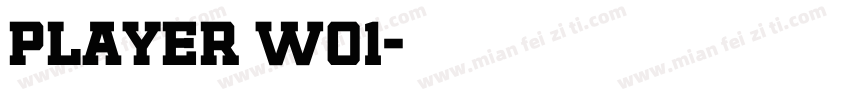 player w01字体转换